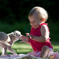 宝贝与宠物QQ头像图片,小孩子和宠物亲昵