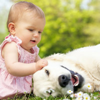 宝贝与宠物QQ头像图片,小孩子和宠物亲昵
