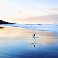 唯美意境大海qq头像图片,蓝天大海是最美的,十一假期一定得看看
