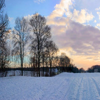 冬季的景色头像图片,山头白了，房子白了，窗外的一切都白了