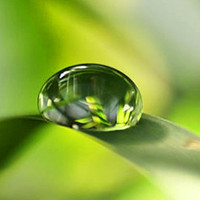 好看唯美的水滴QQ头像图片,似水晶一样好看晶莹,太美丽了