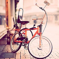 好看的唯美单车头像图片,单车恋人,单车旅行骑上单车走向幸福吧
