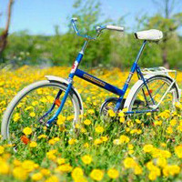 好看的唯美单车头像图片,单车恋人,单车旅行骑上单车走向幸福吧