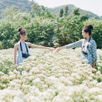 美女花海头像,在花丛中拍照的姐妹花