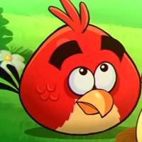 十分卡通的2D画面愤怒的小鸟qq头像图片,令人感到很欢乐